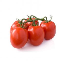 Piccadilly Sicily Tomato
