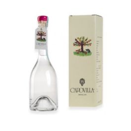 Distillato di lampone Capovilla 0,5L