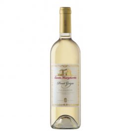 Pinot Grigio Santa Margherita